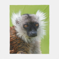 Lemur negro femenino en detalle