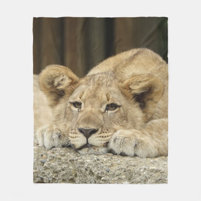 Manta Polar León 040 (Anverso)