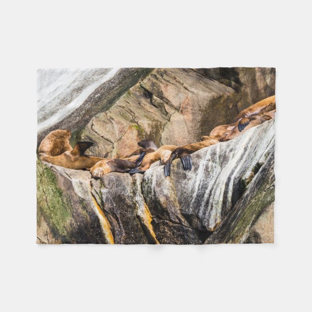 Manta Polar Leones Marinos Sobre Las Rocas (Frente (Horizontal))