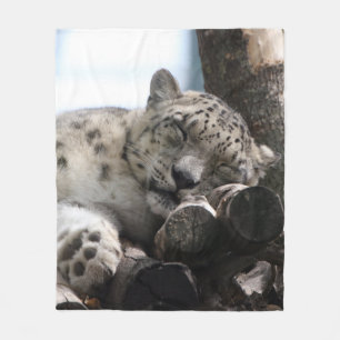 Manta Polar Leopard 002