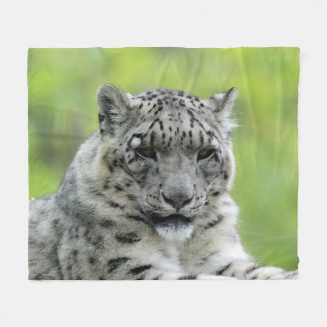 Manta Polar Leopard_2015_0310 (Frente (Horizontal))
