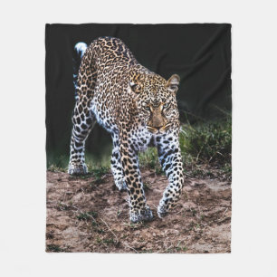 MANTA POLAR LEOPARD CAMINANDO EN SALVAJE