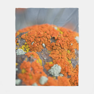 Manta Polar Lichen naranja moss stone gris