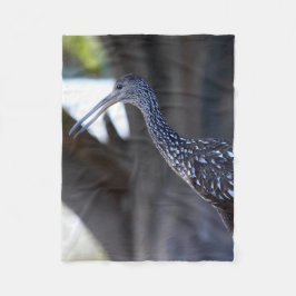 Manta Polar Limpkin, The Crying Bird