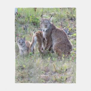 Manta Polar Lince y bebés de Momma