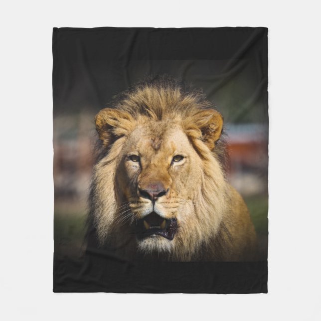Manta Polar Lion Blanket (Anverso)
