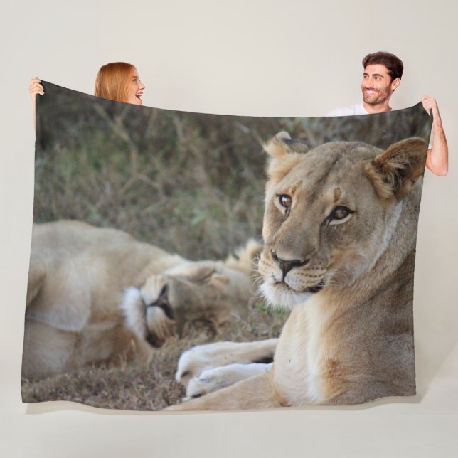 Manta Polar Lion Fleece Blanket (In situ)