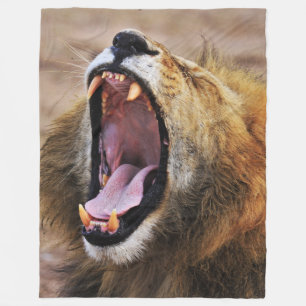 MANTA POLAR LION YAWN