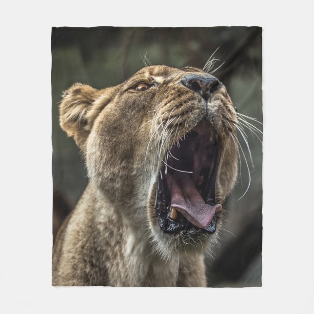 MANTA POLAR LIONESS YAWNING (Anverso)