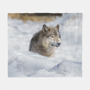 Manta Polar Lobo solitario en la nieve