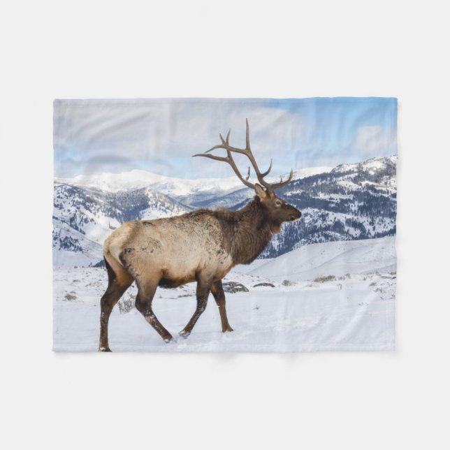 Manta Polar Lone Bull Elk | Parque nacional Yellowstone (Frente (Horizontal))
