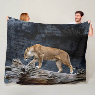 MANTA POLAR LONGITUD