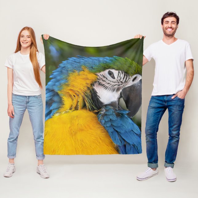 Manta Polar Loro Azul Y Oro (In situ)