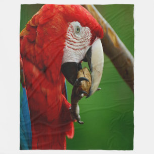 Manta Polar Loro Rojo Tropical