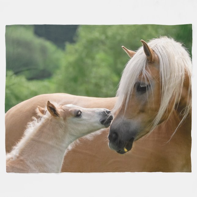 Manta Polar Los caballos de Haflinger paren y yegua que (Frente (Horizontal))