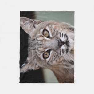 Manta Polar Los ojos de un lince