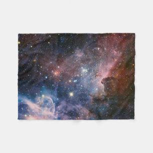 Manta Polar Los secretos ocultados de la nebulosa de Carina