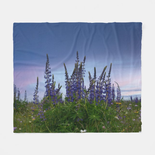 Manta Polar Lupins    (Frente (Horizontal))