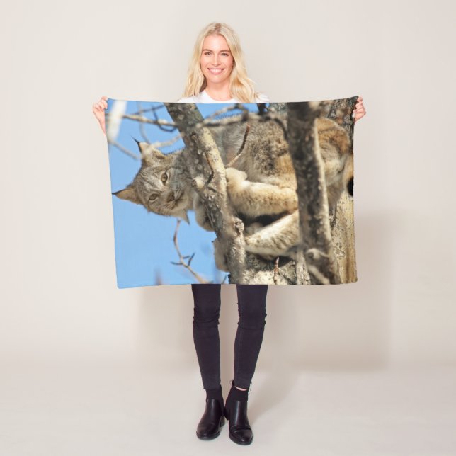 Manta Polar Lynx traviesa (In situ)