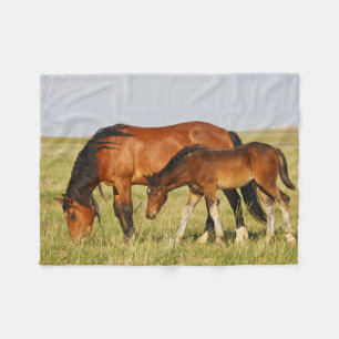 Manta Polar Madre de caballo salvaje y colt Grazing