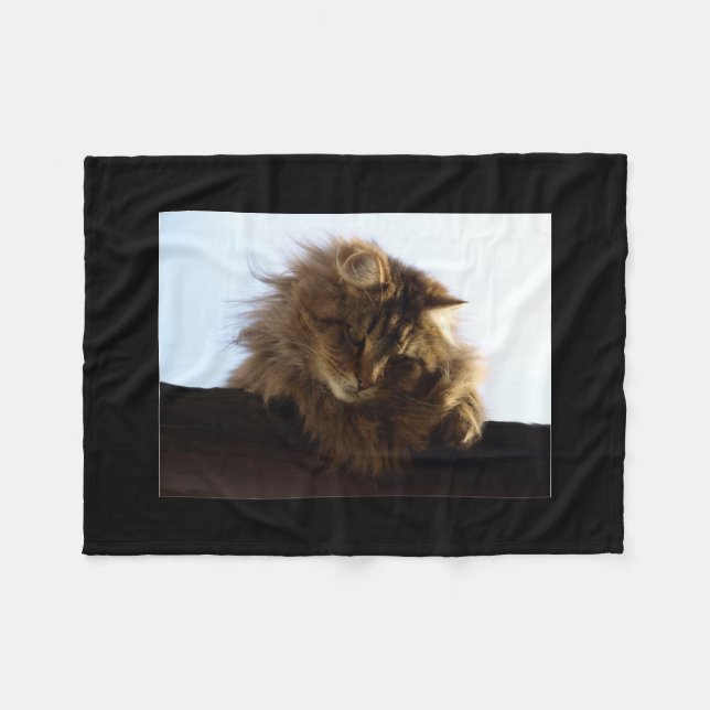 Manta Polar Maine Coon Cat Mascota (Frente (Horizontal))