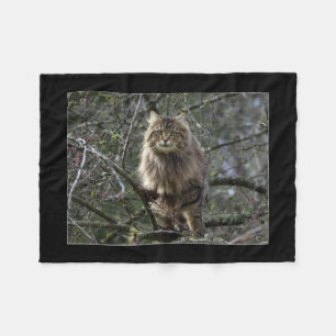 Manta Polar Maine Coon Cat Mascota