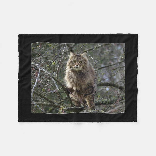 Manta Polar Maine Coon Cat Mascota (Frente (Horizontal))