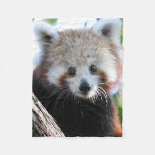 Manta Polar Maiya la panda roja