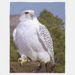 Manta Polar Majestic Gyrfalcon