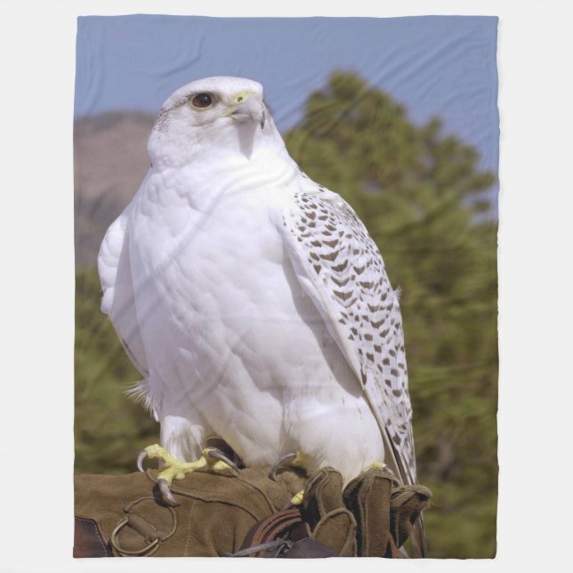 Manta Polar Majestic Gyrfalcon (Anverso)