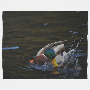 MANTA POLAR MALLARD DUCK