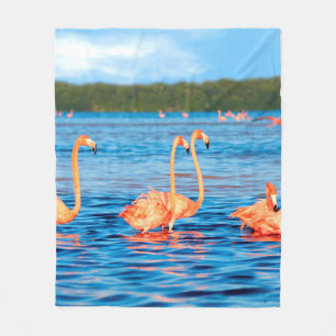 Manta Polar Manadas de hermosos flamencos rosas en Celestun
