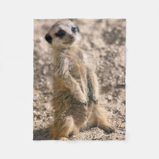 Manta Polar Mapa de la flota de entrenamiento (Anverso)