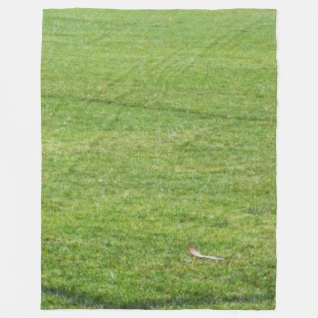 Manta Polar Mapa verde (Anverso)