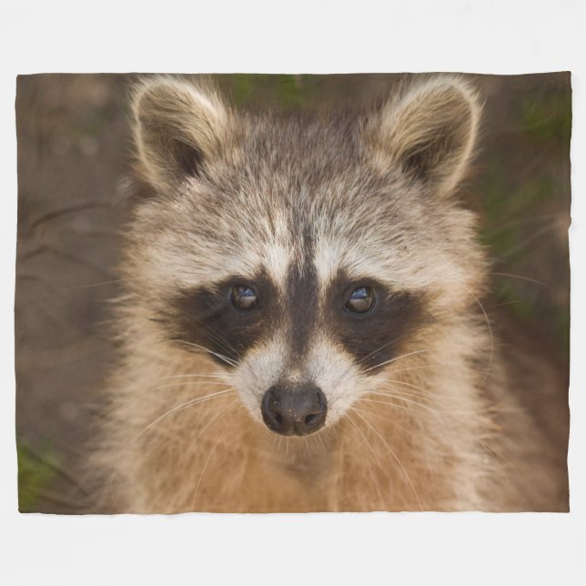 Manta Polar Mapache (Frente (Horizontal))