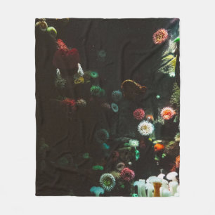 Manta Polar Maravillosas olas oceánicas