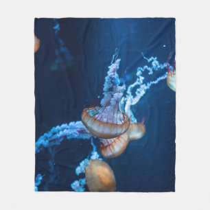 Manta Polar Maravillosos Jellyfishes