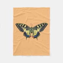 Mariposa amarilla y negra