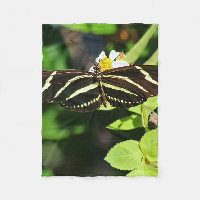 Manta Polar Mariposa Longwing de Cebra (Anverso)