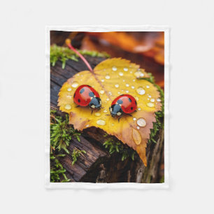 Manta Polar Mariquitas en hoja de otoño húmeda Macro Fotografí