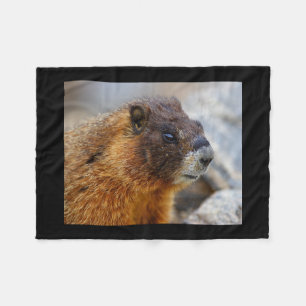 Manta Polar marmota