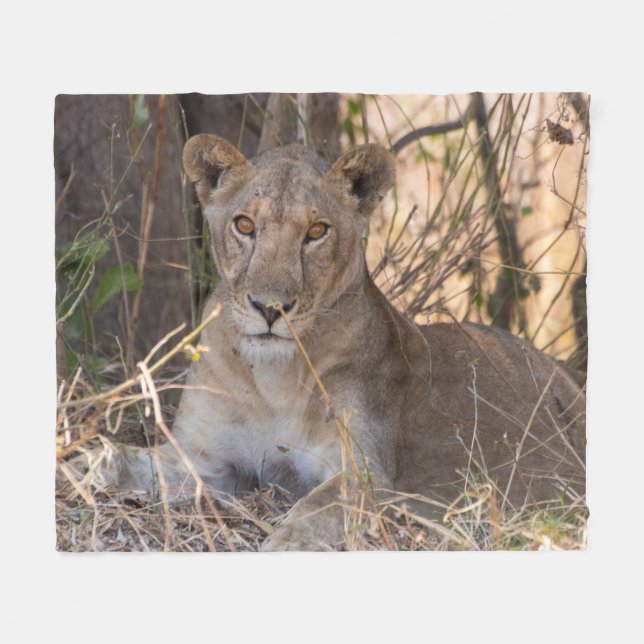 Manta Polar Masa de león femenina (Frente (Horizontal))