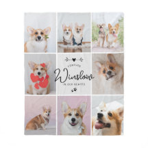 Mascota Perder Regalo Perro Collage de fotos conme