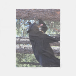 Manta Polar Matrícula de flete de oso negro