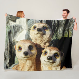 MANTA POLAR MEERKAT