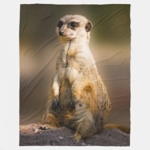 MANTA POLAR MEERKAT