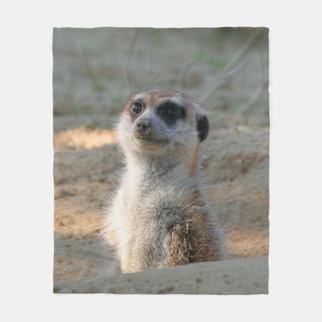 Manta Polar Meerkat 004 (Anverso)