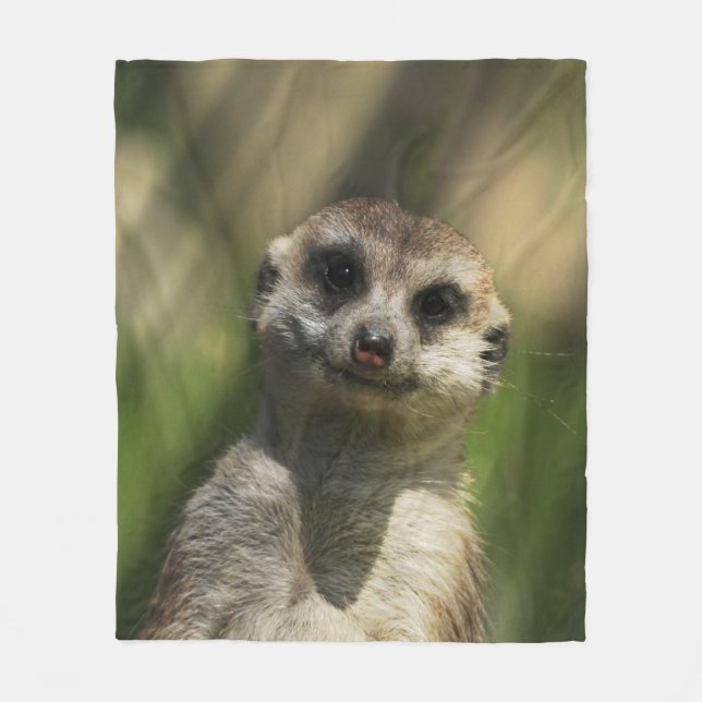 Manta Polar Meerkat 034 (Anverso)
