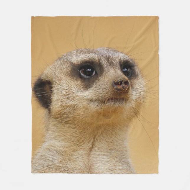 Manta Polar Meerkat 037 (Anverso)