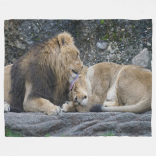 Manta Polar Mighty Lion Love